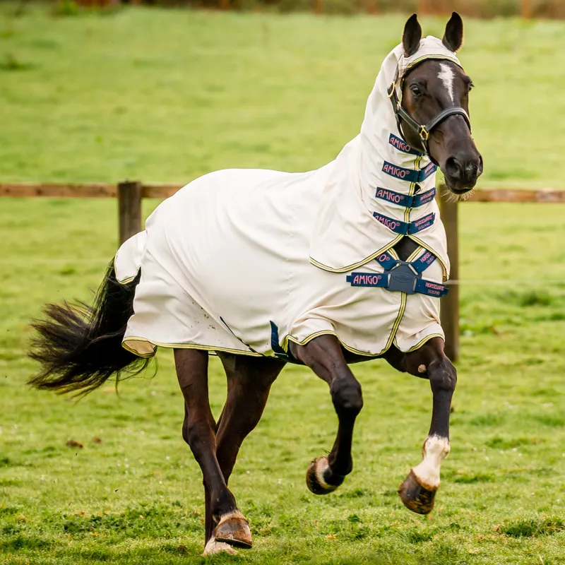 Amigo Ripstop Hoody Combo Neck Fly Rug - Chalk/Navy/Rose