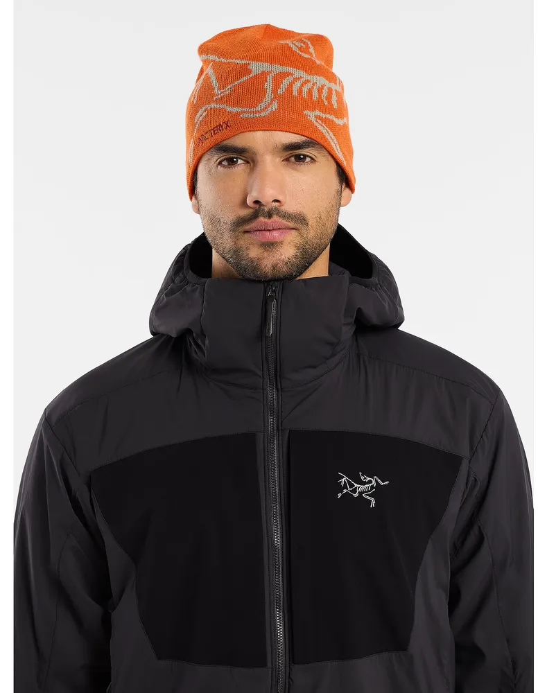 Arc'teryx Practitioner AR Hoody Men's