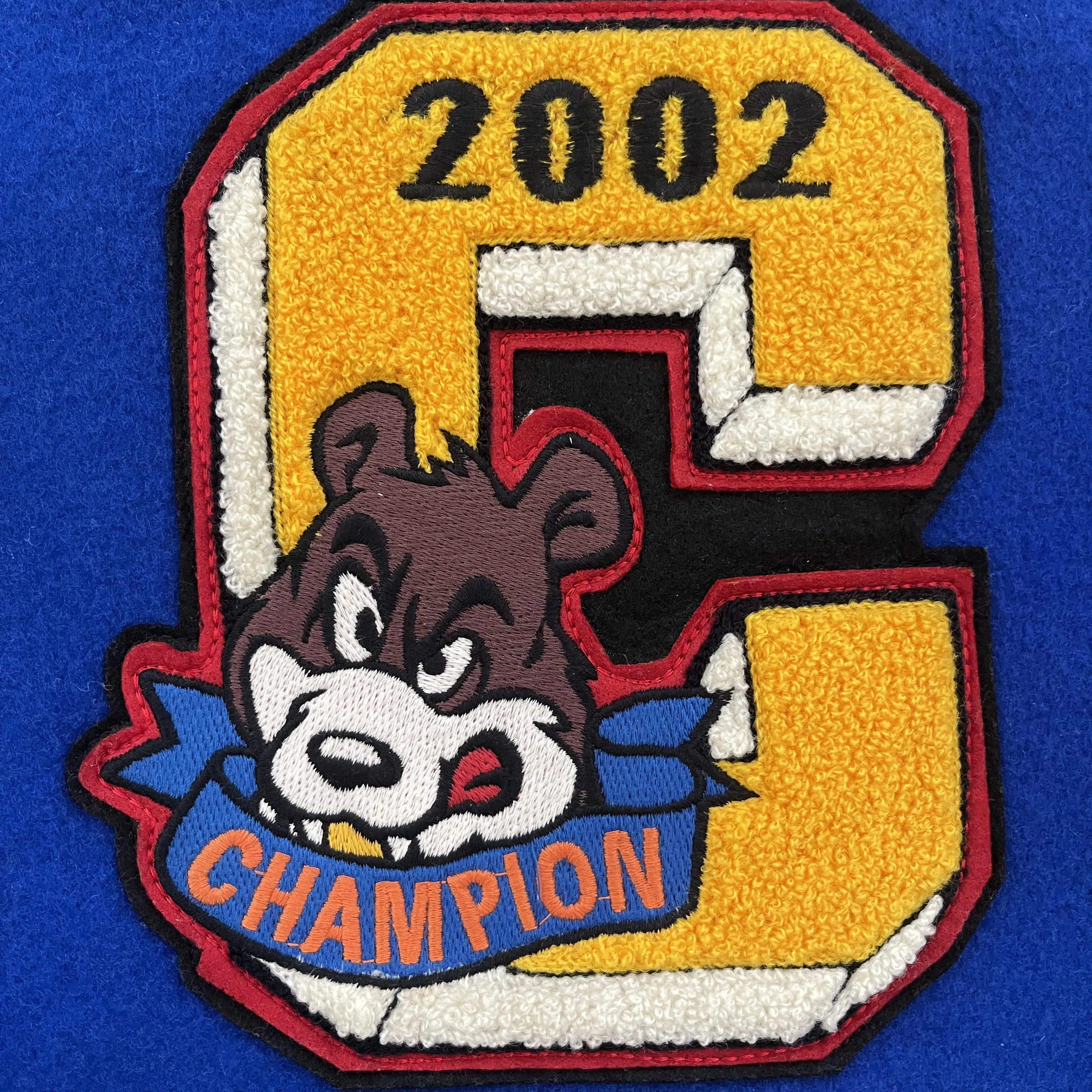 Champion Varsity Jacket - L