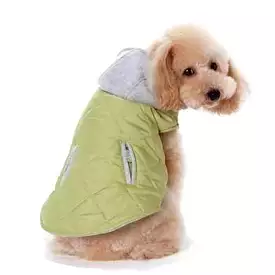 City Puffer Dog Jacket by Dogo - Green