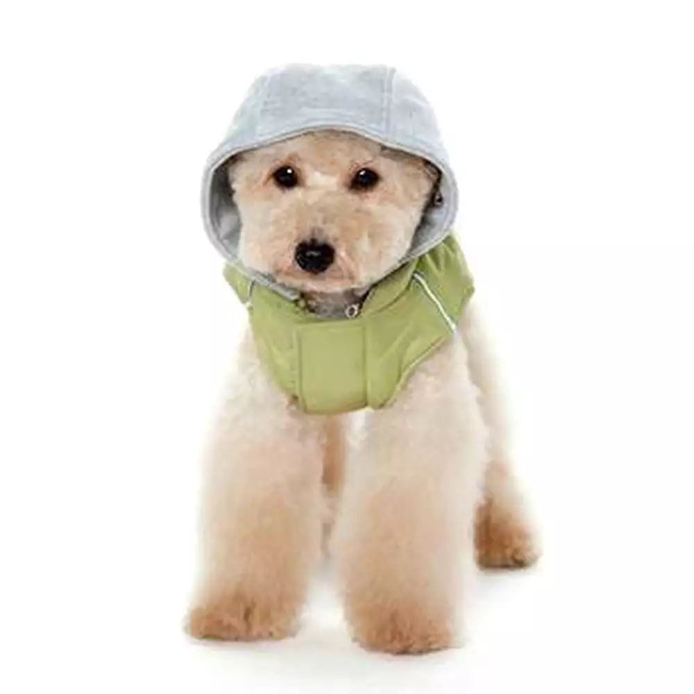 City Puffer Dog Jacket by Dogo - Green