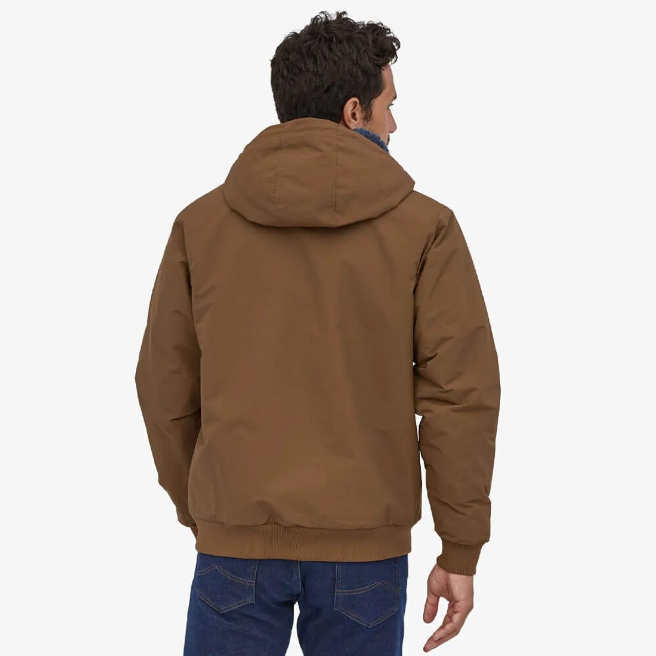 Men's Patagonia Lines Isthmus Hoody Jacket