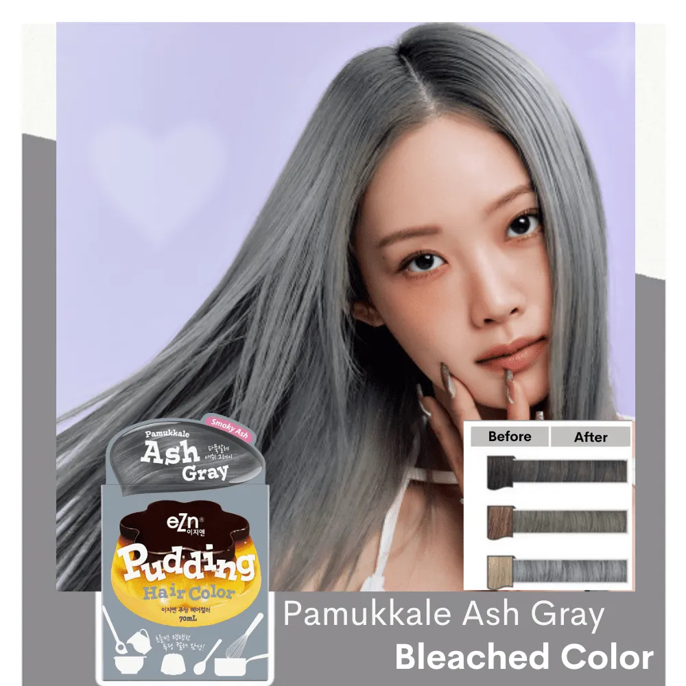 Pamukkale Ash Gray- eZn Pudding Hair Colour